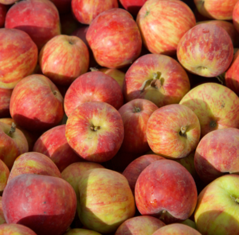 Apples on Sept. 2-3