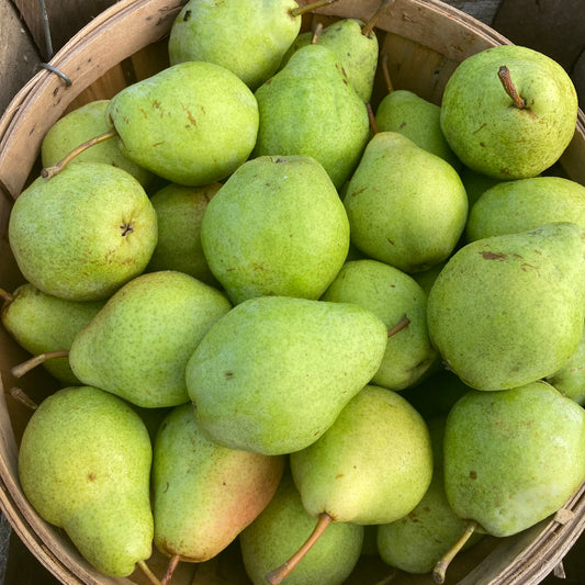 Pears