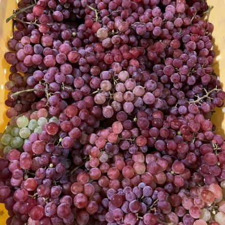 Grapes