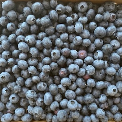 Blueberries