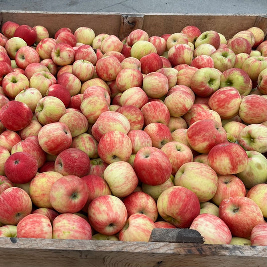 Apples