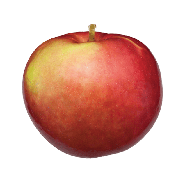 Apples Sept. 21/22